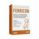 ICONFIT Ferricon - Komplekss grūtniecēm ar dzelzi, 45 kapsulas