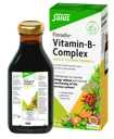 FLORADIX Vitamin B šķidrums, 250 ml